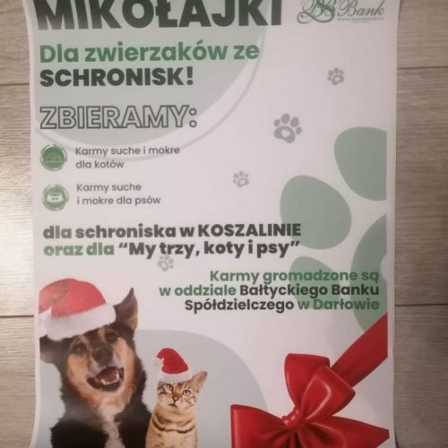 Mikołajki dla zwierzaków ze schroniska Mikołajki dla zwierzaków ze schroniska