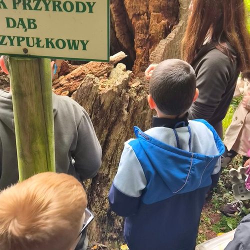Realizacja ogólnopolskiego programu „Piątka dla natury”